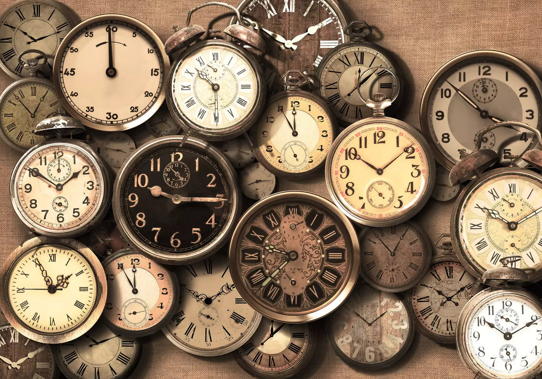 Circadian Biology 🕰️